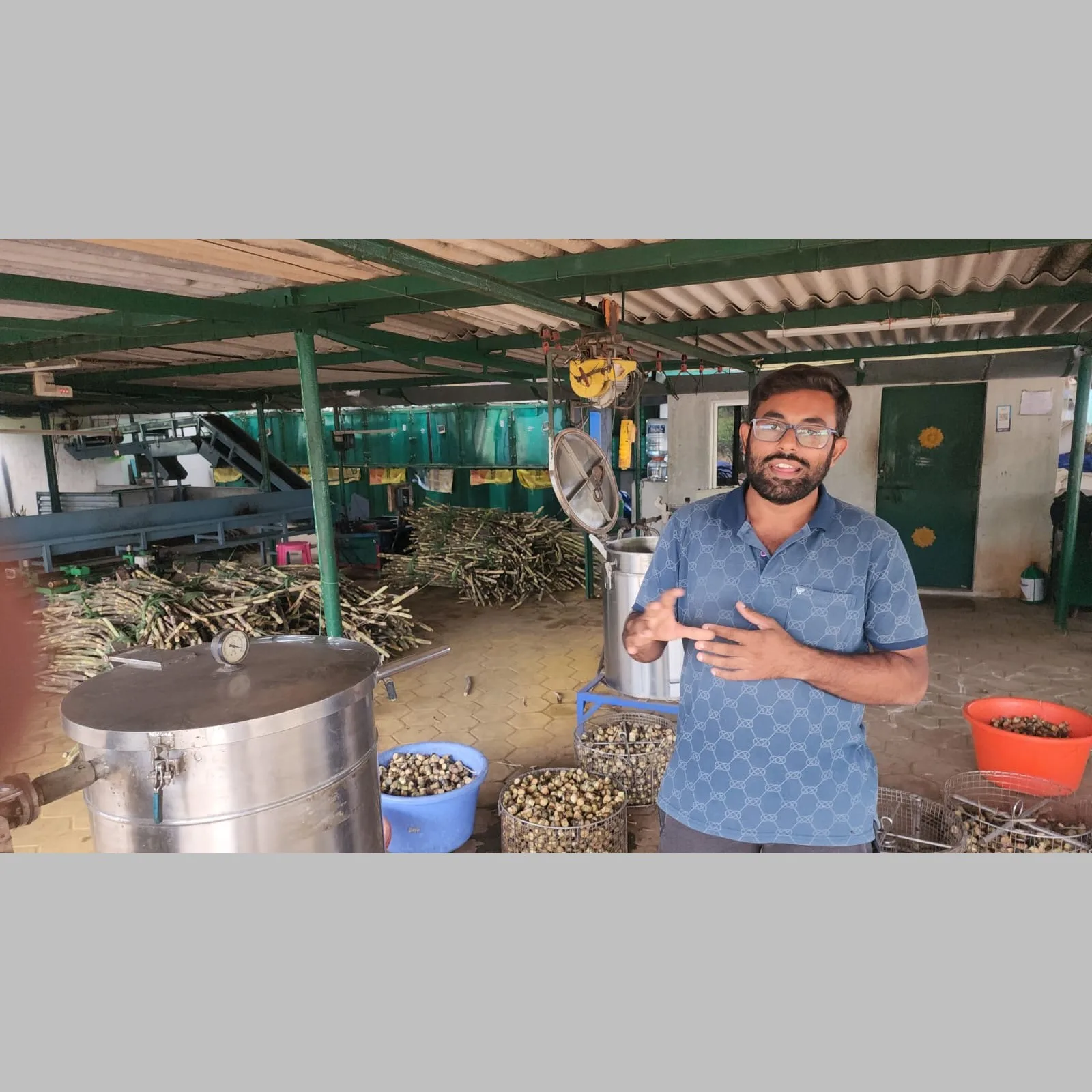Sugarcane Nursery Challenges and Disease Management Solutions in India